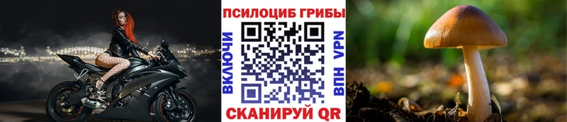 Псилоцибиновые грибы Psilocybe  Аркадак 